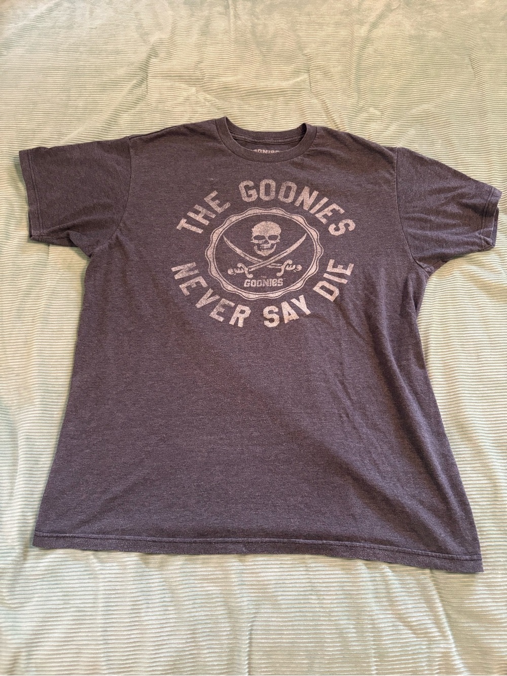 The Goonies Graphic Tee - Charcoal Vintage Skull Logo